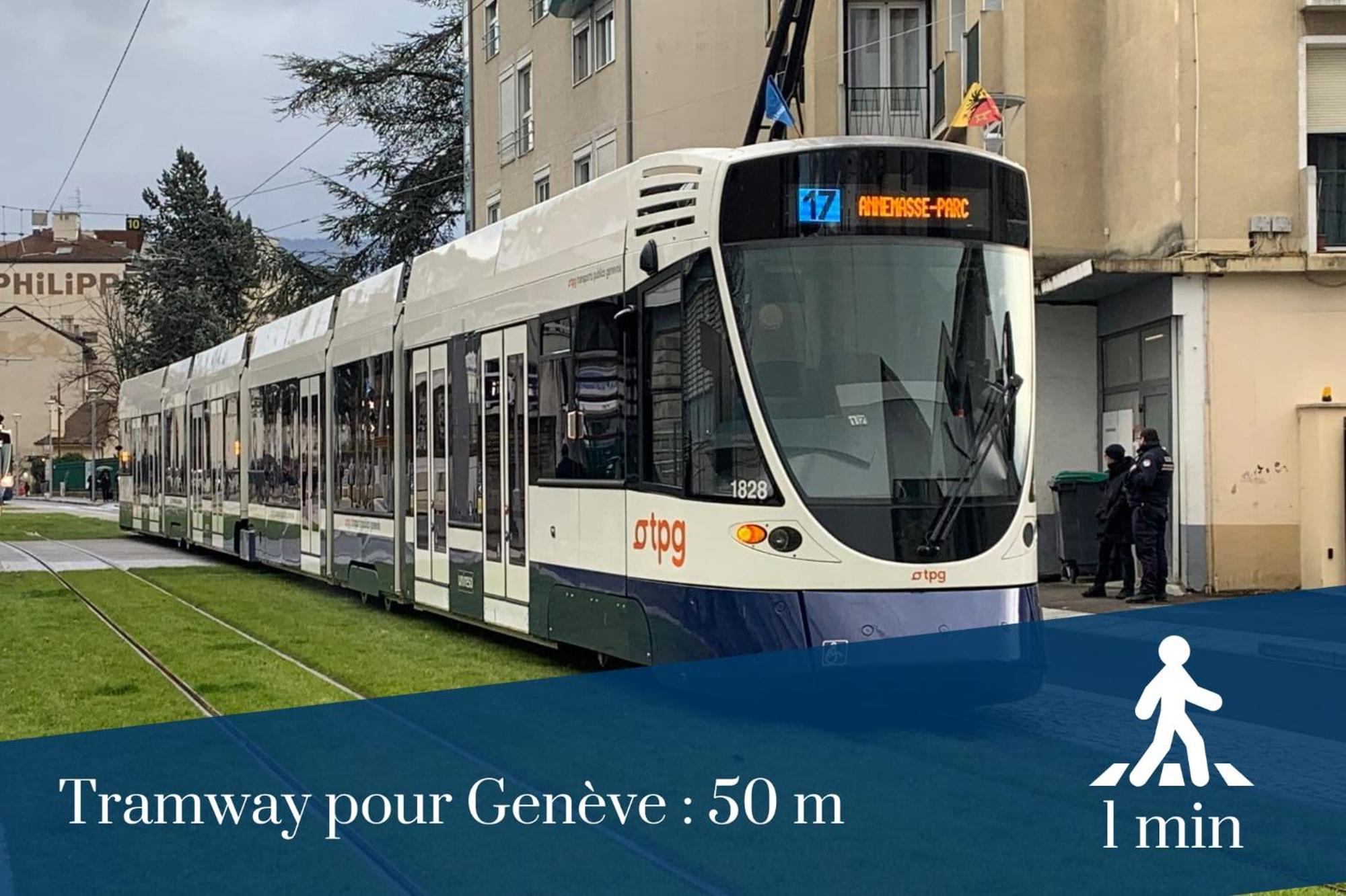 Apartment Homey Mosa - Au Pied Du Tram - Proche Centre - Balcon Prive - Wifi Et Netflix Annemasse
